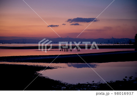 大分県 糸ヶ浜の初日の出前の景色 大分県 糸ヶ浜の初日の出前の景色 98016937