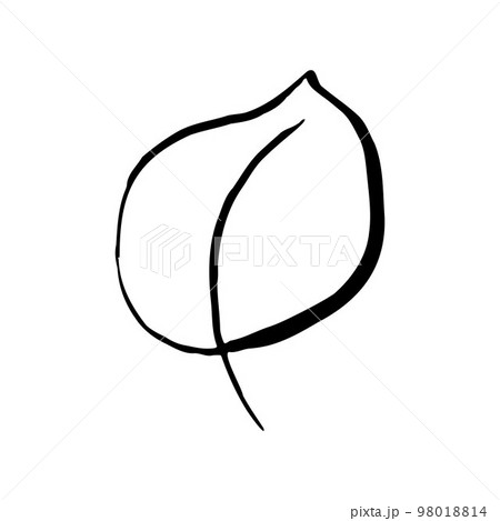 Summer sketch outline leaf. Hand drawn herb Summer sketch outline leaf. Hand drawn herb 98018814