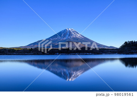 精進湖に映る逆さ富士と青空 98019561