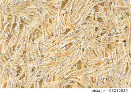 たたみいわし 98019880