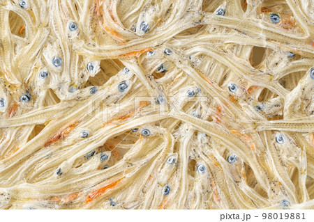 たたみいわし 98019881