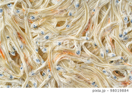 たたみいわし 98019884