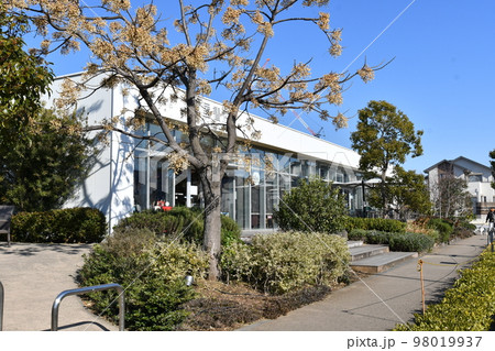 湘南の本屋さん 湘南の本屋さん 98019937