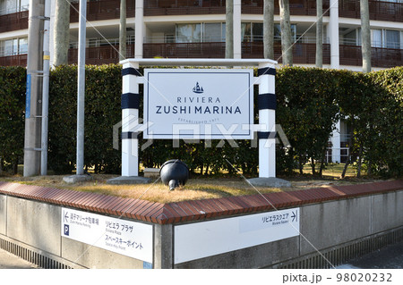 逗子マリーナのヤシの木 逗子マリーナのヤシの木 98020232