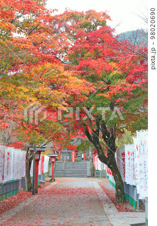 大寧寺の紅葉 98020690
