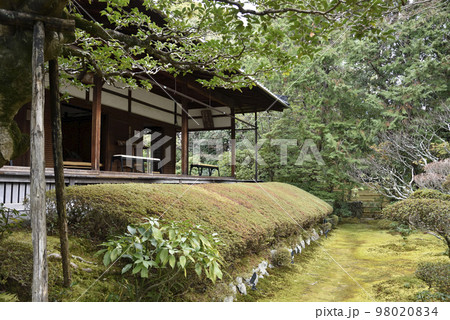 真如の庭 桂春院 妙心寺 真如の庭 桂春院 妙心寺 98020834
