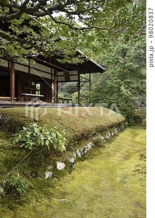 真如の庭 桂春院 妙心寺 真如の庭 桂春院 妙心寺 98020837