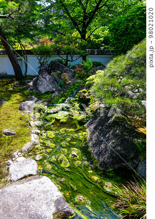 小松尾寺こと四国霊場第67番札所「大興寺」の苔庭 98021020