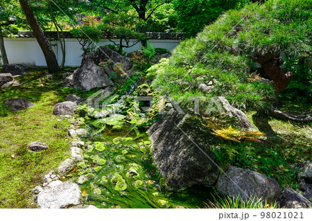小松尾寺こと四国霊場第67番札所「大興寺」の苔庭 98021021