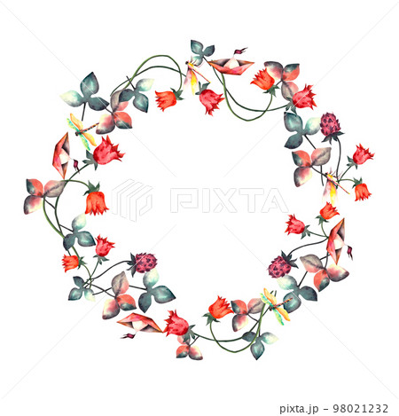 Flowers. Watercolor flower wreath. Watercolor floral set with spring flowers and dragonflies. Botanical illustration. Watercolor isolated illustration on white background. For printing on postcards Flowers. Watercolor flower wreath. Watercolor floral set with spring flowers and dragonflies. Botanical illustration. Watercolor isolated illustration on white background. For printing on postcards 98021232