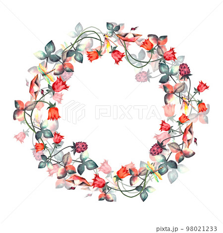 Flowers. Watercolor flower wreath. Watercolor floral set with spring flowers and dragonflies. Botanical illustration. Watercolor isolated illustration on white background. For printing on postcards Flowers. Watercolor flower wreath. Watercolor floral set with spring flowers and dragonflies. Botanical illustration. Watercolor isolated illustration on white background. For printing on postcards 98021233