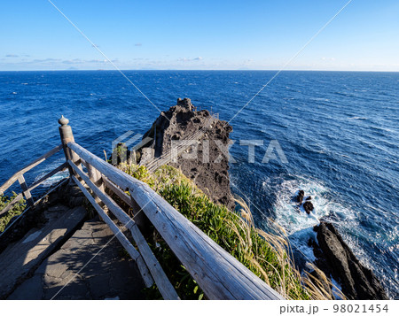 冬晴れの石廊崎からの眺め　静岡県南伊豆町　12月 98021454
