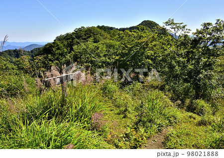 道志山塊の杓子山山頂より子ノ神に向かう尾根道　 98021888