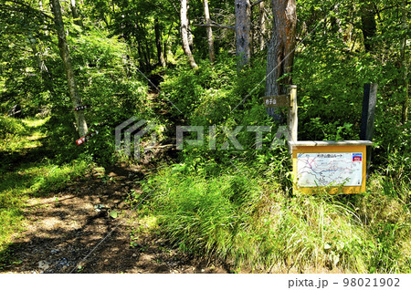 道志山塊の杓子山高座山コース 杓子山の大榷首峠(大権首峠) 杓子山側 道志山塊の杓子山高座山コース 杓子山の大榷首峠(大権首峠) 杓子山側 98021902
