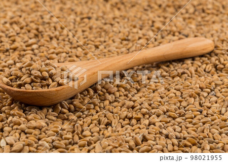 Wheat grain on white Wheat grain on white 98021955
