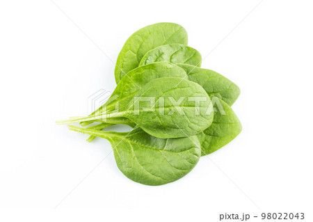 Green spinach on a white background Green spinach on a white background 98022043