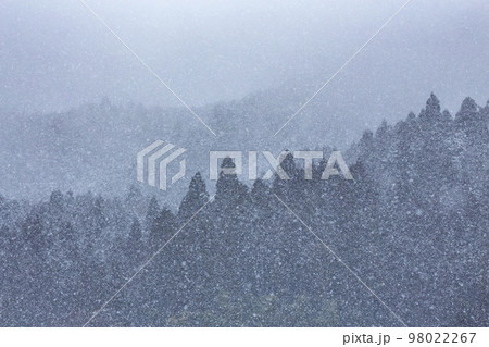 降雪 98022267