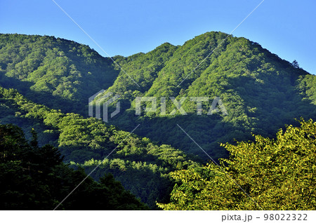 道志山塊の赤鞍ヶ岳より西丹沢の加入道山を望む 夏の山稜に朝の斜光線 道志山塊の赤鞍ヶ岳より西丹沢の加入道山を望む 夏の山稜に朝の斜光線 98022322