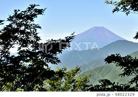 道志山塊の道志山稜縦走コース　赤鞍ヶ岳の森より富士山を望む 98022329