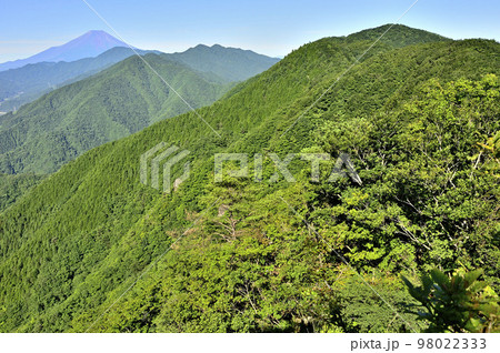 道志山塊の道志山稜縦走コース 赤鞍ヶ岳のウバガ岩より富士山と道志山稜を望む 道志山塊の道志山稜縦走コース 赤鞍ヶ岳のウバガ岩より富士山と道志山稜を望む 98022333