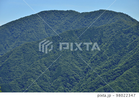 道志山塊の菜畑山山頂から眺める大室山 98022347