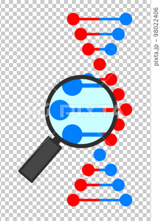 生物細胞のDNAを部分拡大して研究するイラスト 98022406