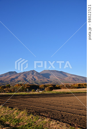 紅葉の浅間山 98022521