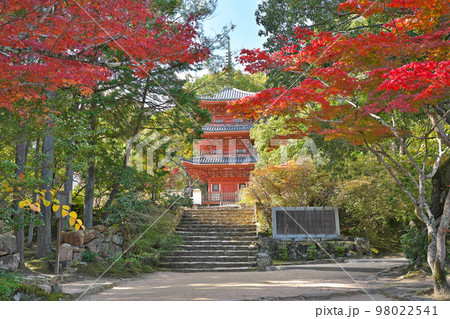 【宝福寺 (紅葉)】 岡山県総社市井尻野 【宝福寺 (紅葉)】 岡山県総社市井尻野 98022541
