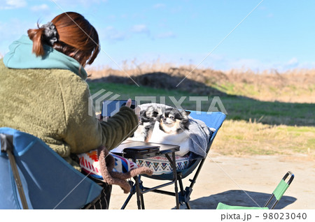 2匹の愛犬チワワとオートキャンプ　愛犬をスマホで撮影する飼い主の女性 98023040