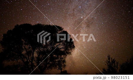 オーストラリア内陸部の満点の星空 オーストラリア内陸部の満点の星空 98023151