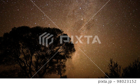 アウトバックの満天の星空 98023152