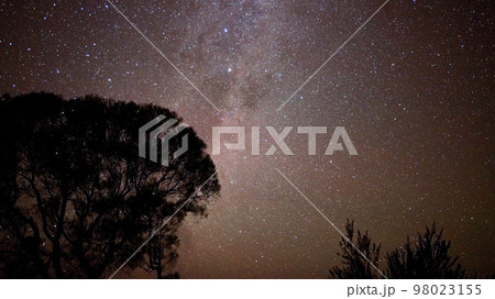 中央オーストラリアの満点の星空 中央オーストラリアの満点の星空 98023155