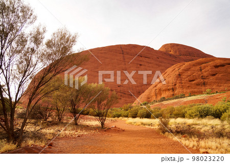 カタ・ジュタ(オルガ山)散策路の景色 98023220