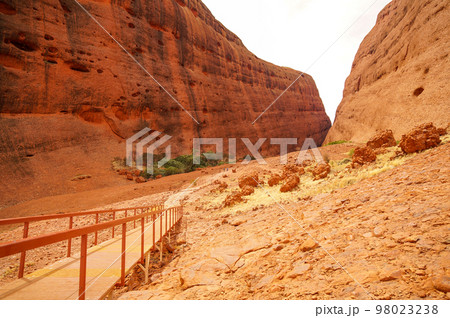カタ・ジュタ(マウントオルガ)の見どころ、ウォルパ渓谷 カタ・ジュタ(マウントオルガ)の見どころ、ウォルパ渓谷 98023238