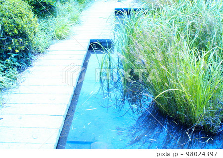 カラー 川 水 石 岩(2023年1月登録) カラー 川 水 石 岩(2023年1月登録) 98024397