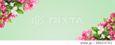 Spring blossom, branches of magenta blossoming red cherry full frame. Pink sakura or fruit tree viva flowers, copy space garden border banner. 98024701