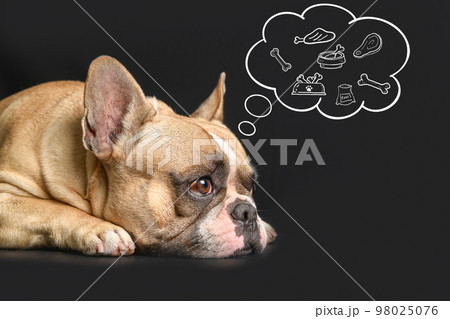 CUte french bulldog sleeping with food in speech bubble on black background, CUte french bulldog sleeping with food in speech bubble on black background, 98025076
