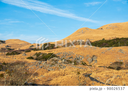 平尾台の青空と綺麗な空 98026537