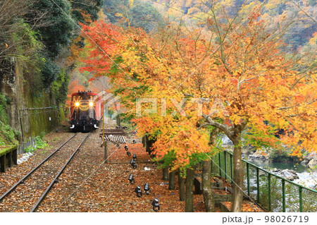 トロッコ保津峡駅 嵯峨野トロッコ列車 トロッコ保津峡駅 嵯峨野トロッコ列車 98026719