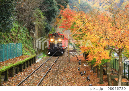 トロッコ保津峡駅 嵯峨野トロッコ列車 トロッコ保津峡駅 嵯峨野トロッコ列車 98026720