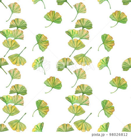 Seamless pattern ginkgo biloba green and yellow leaves, print botany foliage. Watercolor branches. Leaves clip art. 98026812