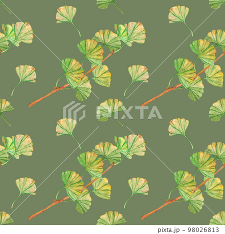 Seamless pattern ginkgo biloba green and yellow leaves, print botany foliage. Watercolor branches. Leaves clip art. Seamless pattern ginkgo biloba green and yellow leaves, print botany foliage. Watercolor branches. Leaves clip art. 98026813