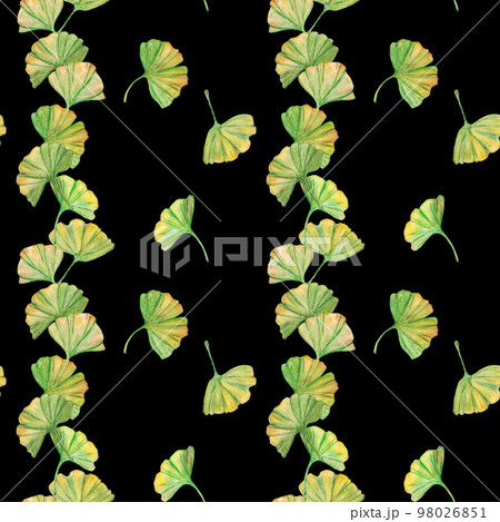 Seamless pattern ginkgo biloba green and yellow leaves, print botany foliage. Watercolor branches. Leaves clip art. Seamless pattern ginkgo biloba green and yellow leaves, print botany foliage. Watercolor branches. Leaves clip art. 98026851