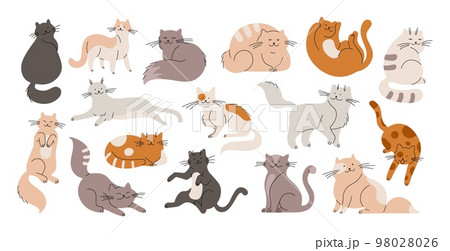 Doodle flat cats, funny fur cat and kittens. Cute pets isolated characters. Cartoon animals sleep, play, sitting. Racy fluffy animals vector kit Doodle flat cats, funny fur cat and kittens. Cute pets isolated characters. Cartoon animals sleep, play, sitting. Racy fluffy animals vector kit 98028026