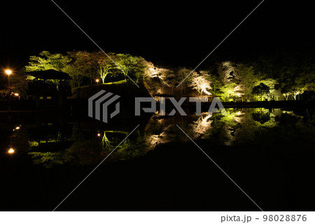 臼杵市(野津町) 吉四六ランド ライトアップ 臼杵市(野津町) 吉四六ランド ライトアップ 98028876