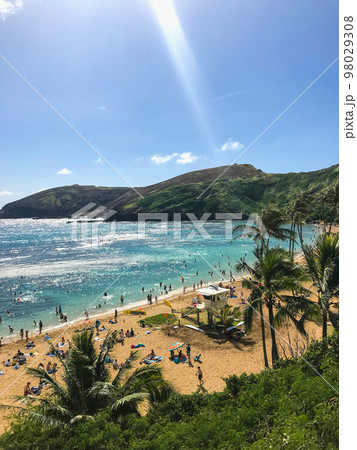 ハワイのハナウマ湾の風景 98029308