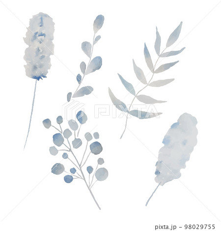 Set of light blue leaves elements. Collection botanical vector isolated on white background suitable for Wedding Invitation, save the date, thank you, or greeting card. 98029755