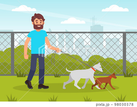 Man volunteer walking with dogs in park. Dog walking service, volunteering, dog shelter cartoon vector 98030378