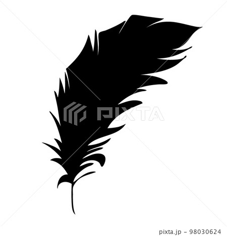 Feather of birds. Black feather silhouette for logo vector set 98030624