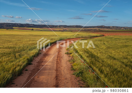 Aerial roads and paths. Colourful Country road. Aerial roads and paths. Colourful Country road. 98030861